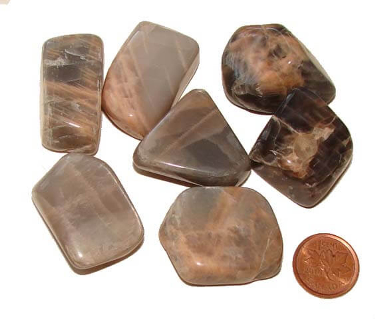 Where To Purchase Moonstone Stone Meaning Of Healing Make your eyes shine bright like a gemstone. dark moonstone tumbled stones extra large 20 24 grams 1 to 1 1 4 inches