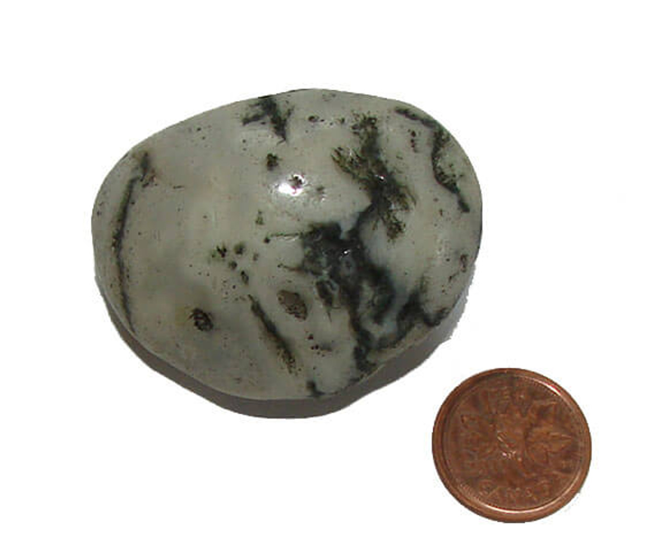 Tree agate stone benefits deals