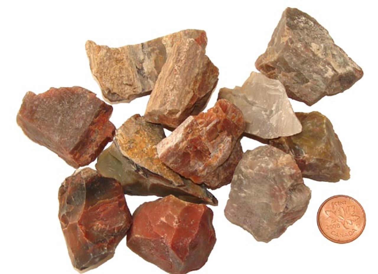Where Can I Find Petrified Wood - Properties of Healing