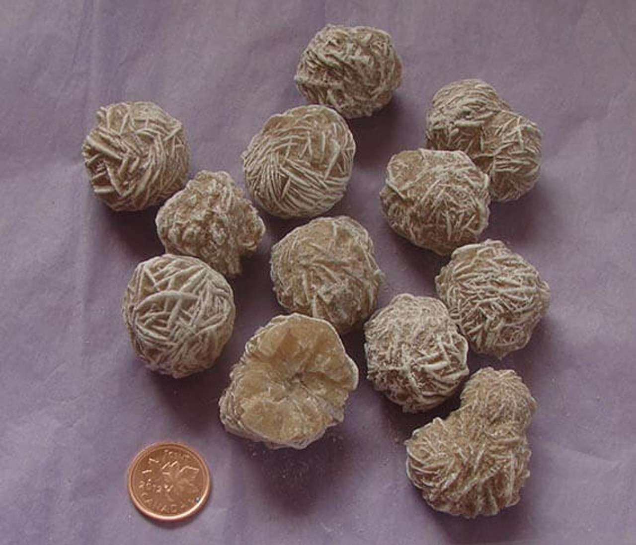 Top 28+ Stock Photos where to find desert rose rock in arizona Updated