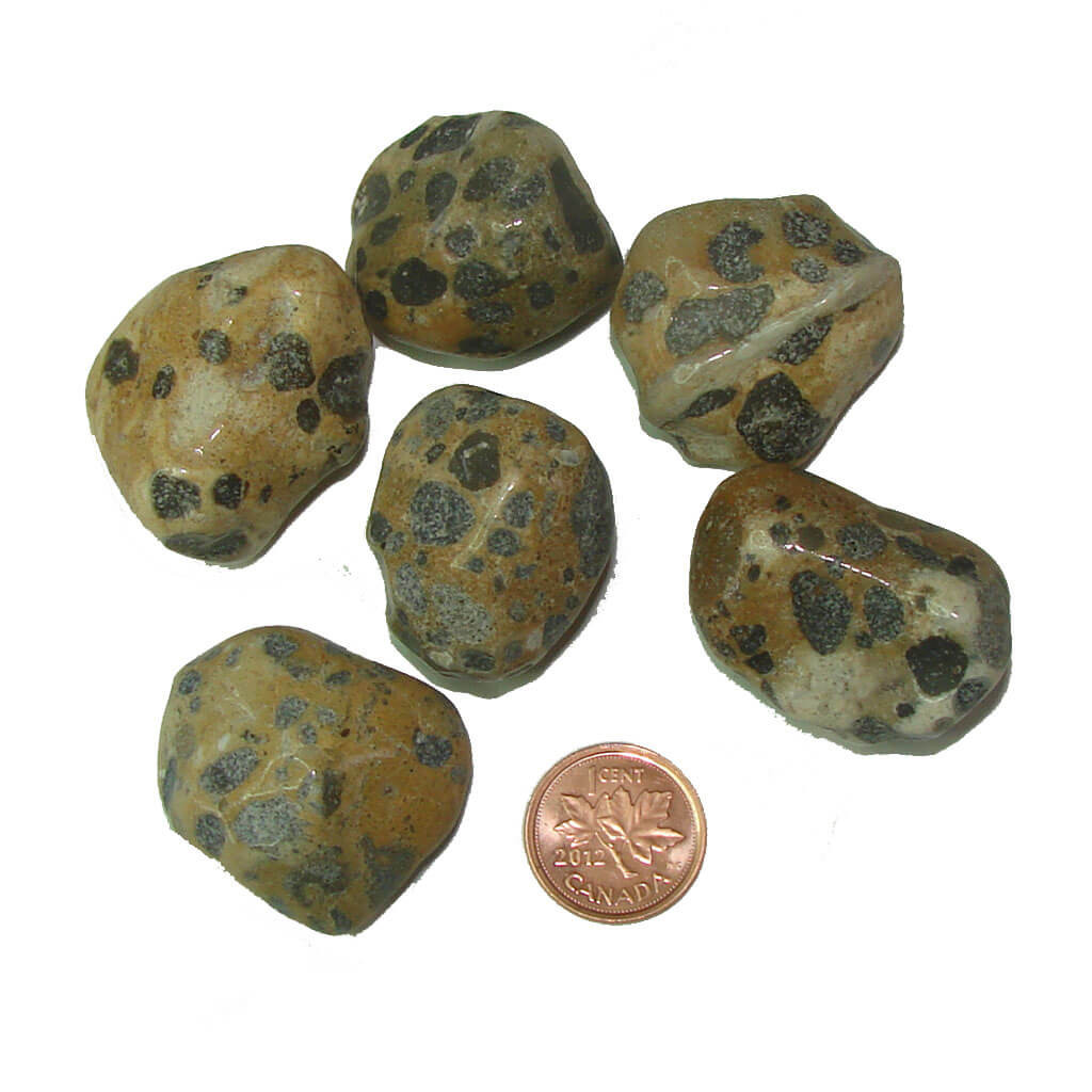 Tumbled Leopard Skin Jasper Gemstone Crystals Stones Gem