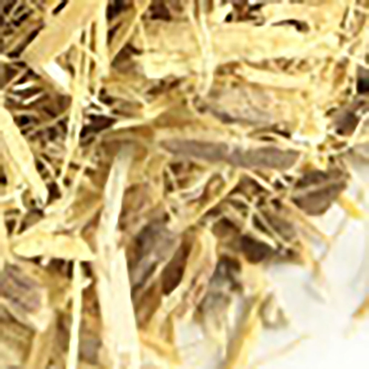 Where Can You Buy Licorice Root Where to Buy Licorice Root and other Natural Herbs