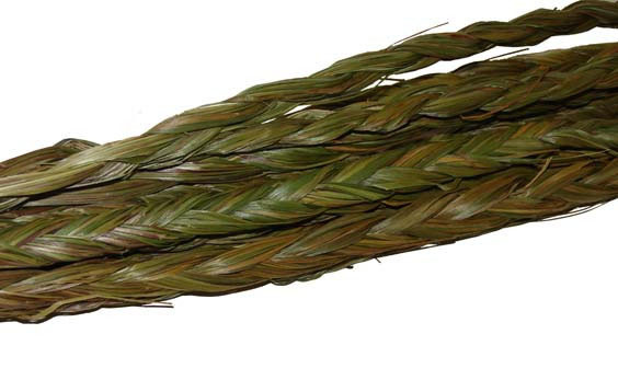 Where to Buy Sweetgrass Braids Online