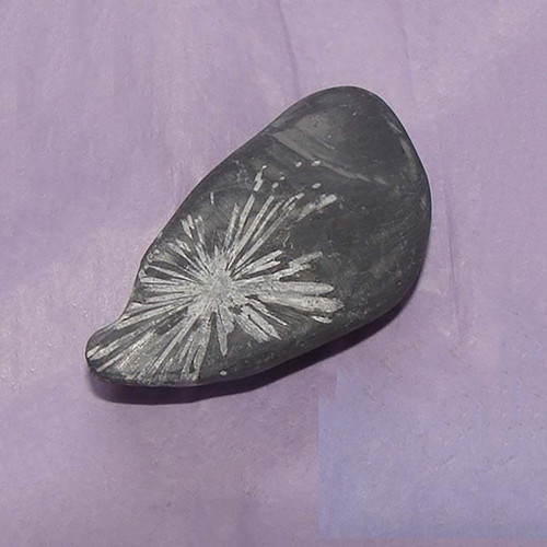 Chinese Chrysanthemum Stone