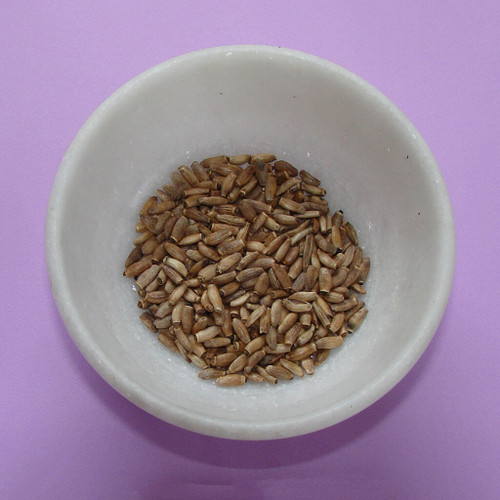 Milk Thistle Seed, Whole, Organic (14 grams), packaged