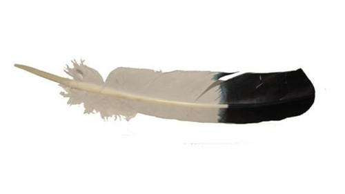 Smudging Turkey Feathers – YOUtopia Essentials