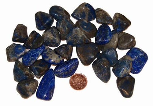 Lapis Lazuli Tumbled Stones - size small