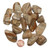 Medium Tumbled Picture Jasper Stone, image 2