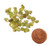 5 grams of tiny Peridot Stone Chips, image 2