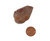 Lithium Quartz Point - Specimen I - Image 2