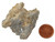 Blue Kyanite Rough Stone Cluster, image 3