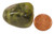 Tumbled Atlantisite Stone Specimen, Image 2