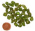 .7 to .8 of a gram Tumbled Peridot Stone, image 2