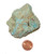 Raw Chrysocolla Stone - Specimen I