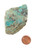 Raw Chrysocolla Stone Specimen, image 2