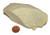 Healerite Serpentine Raw Stone Specimen, image 3