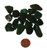 Teeny Tumbled African Jade Stone, image 2