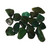 Teeny Tumbled African Jade Stone