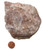 Mexican Crazy Lace Agate Specimen, image 2