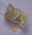 Smoky Elestial Quartz Cluster, image 2