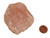 Raw Rose Quartz Stone, Specimen D, Image 1