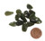 Tumbled Nephrite Jade Stones, 10 grams of 11 to 20 tiny pieces