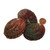 Red Abalone Shells, 2 to 2-1/2 inches, image 4