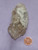 mokey Quartz Elestial Crystals - Specimen D - Image 1