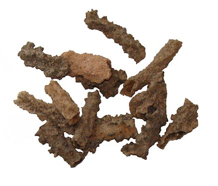 fulgurite.436.jpg