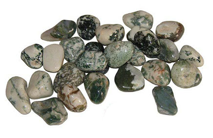 tree-agate.436.jpg