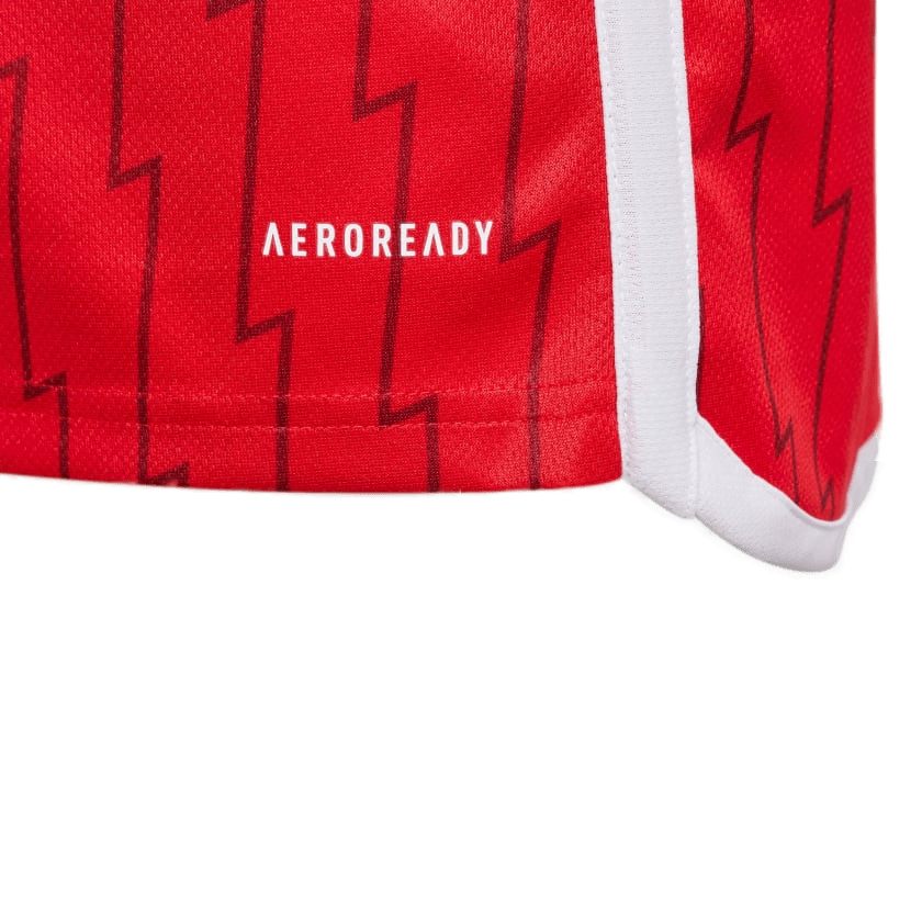 SAKA #7 Arsenal 23/24 Men's Home Long Sleeve Shirt - PL Font
