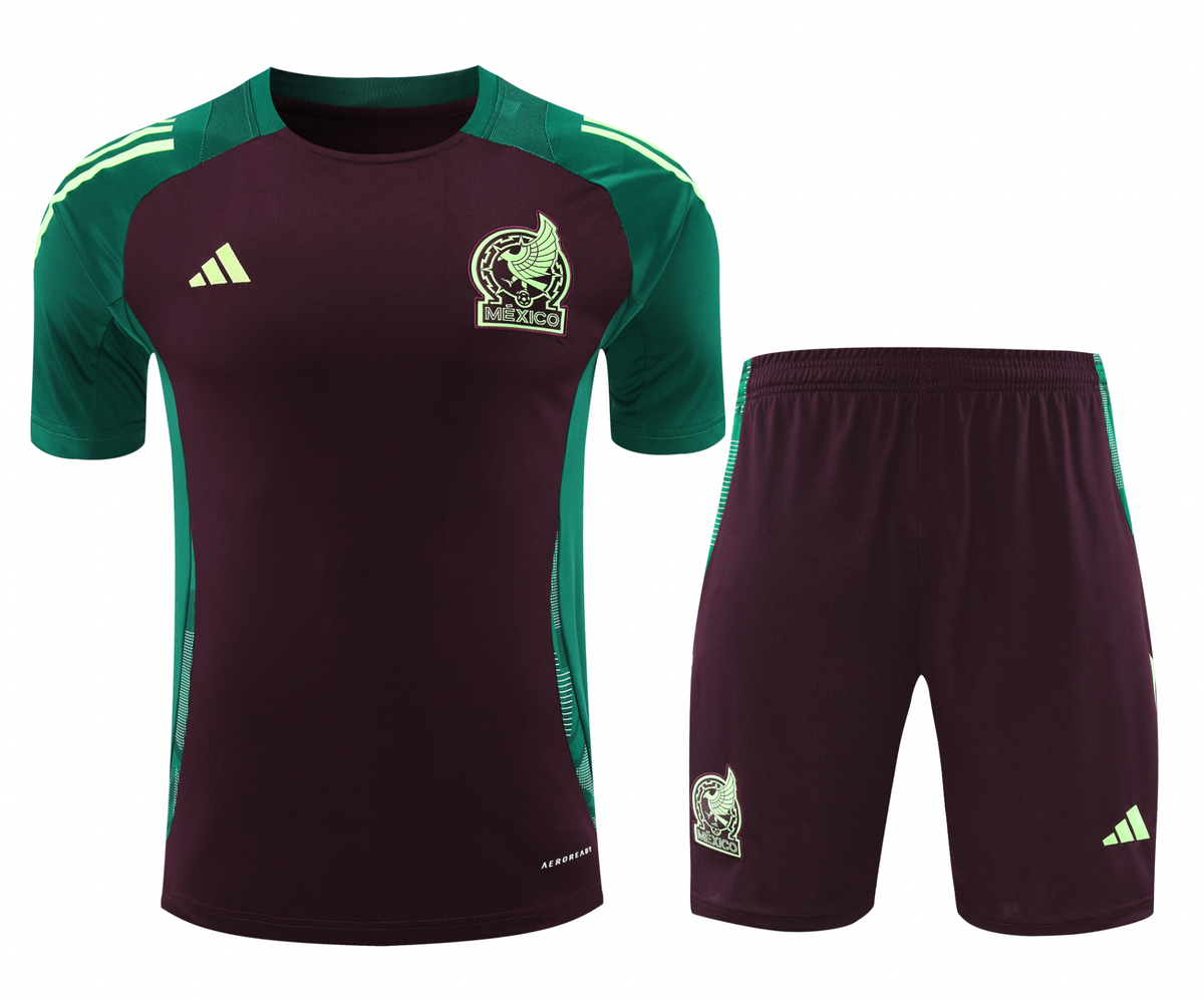 Mexico 2024 Men's Bordeaux Training Shirt