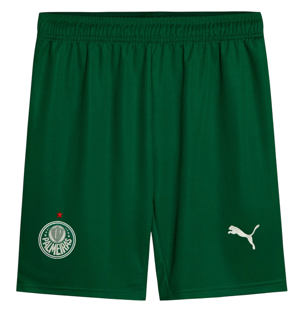 Palmeiras 25/26 Stadium Men's Away Shirt