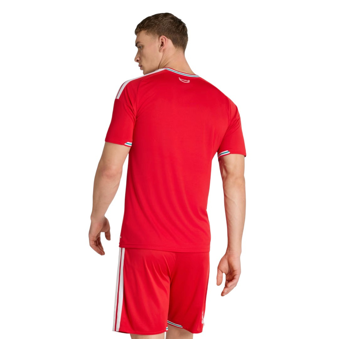 Wales 2026 Stadium Men's Home Shirt