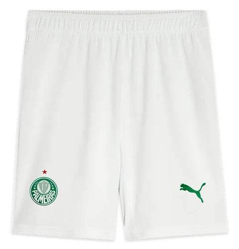Palmeiras 25/26 Authentic Men's Home Shirt