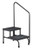 Step Stool with Handrail McKesson Bariatric 2 Steps Powder Coated Steel Frame 9 / 16 Inch Step Height