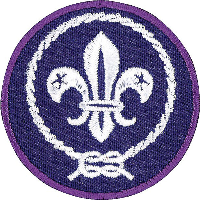 World Crest Scout Emblem