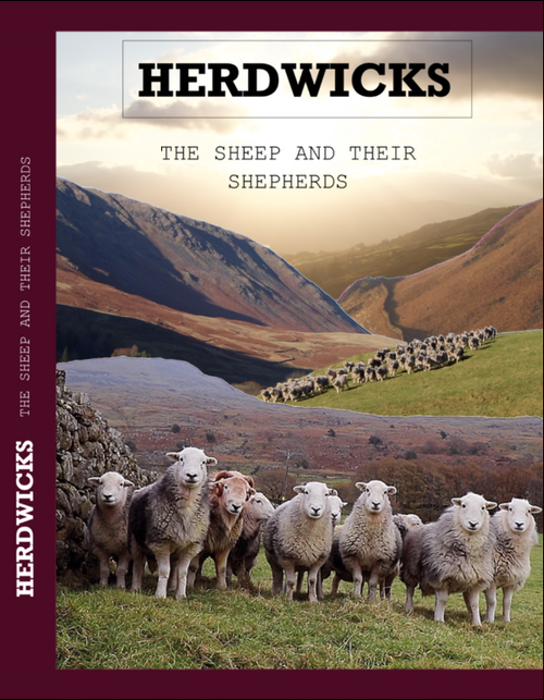 One disc - over two hours footage