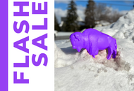 Flash Sale: Purple Buffalo!