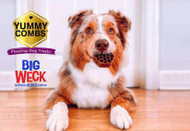 Yummy Combs On This Week's Show! 