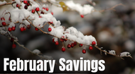 February Sale '25 February Sale '25