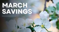 March Sale '25