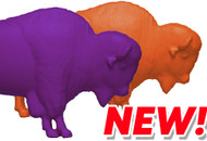 2 New Buffalo, 2 New Charities