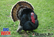 Quaker Boy Game Calls Interview