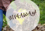 Giveaway: Leaf Scoops Giveaway: Leaf Scoops