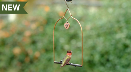 Hummingbird Swings