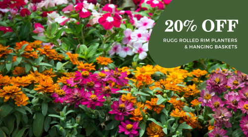 20% Off Rugg Planters