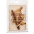 Swan Creek Drizzle Wax Melts, 5.25 oz. Swan Creek Drizzle Wax Melts, 5.25 oz.