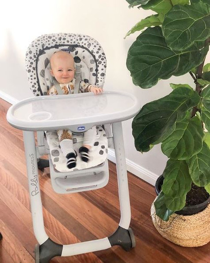 Polly Progres5 Highchair - Anthracite