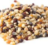 Rainbow Popcorn - 2 Lb Package